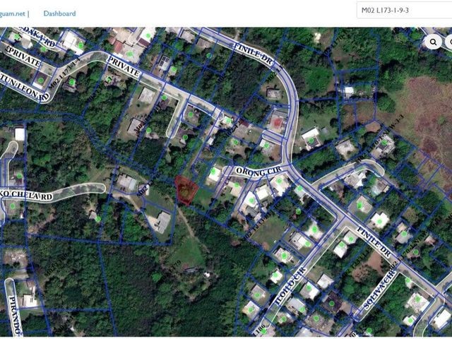 Satellite Map