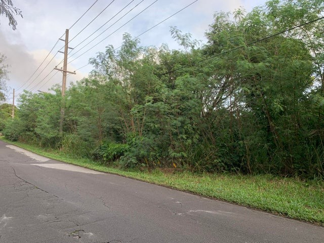 Growth on Lot