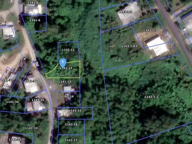 Ariel View