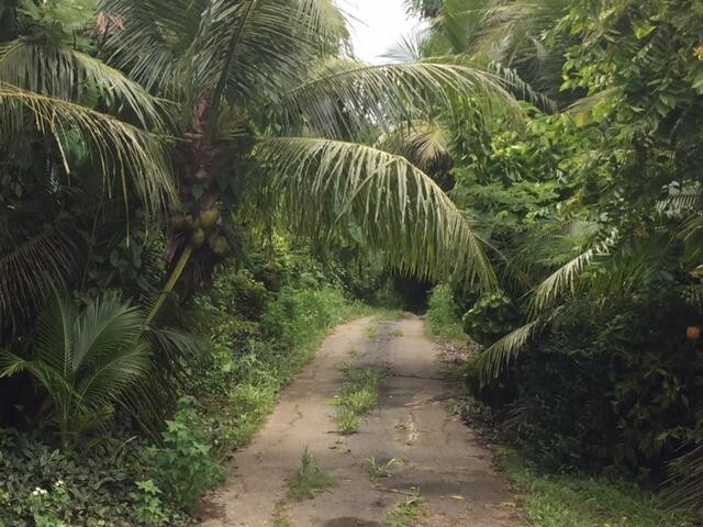 Serena Rd. Yona