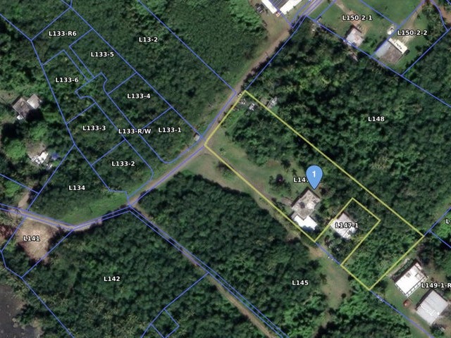 Overhead View