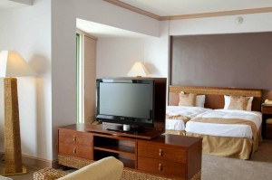 Hotel Okura - Living Room