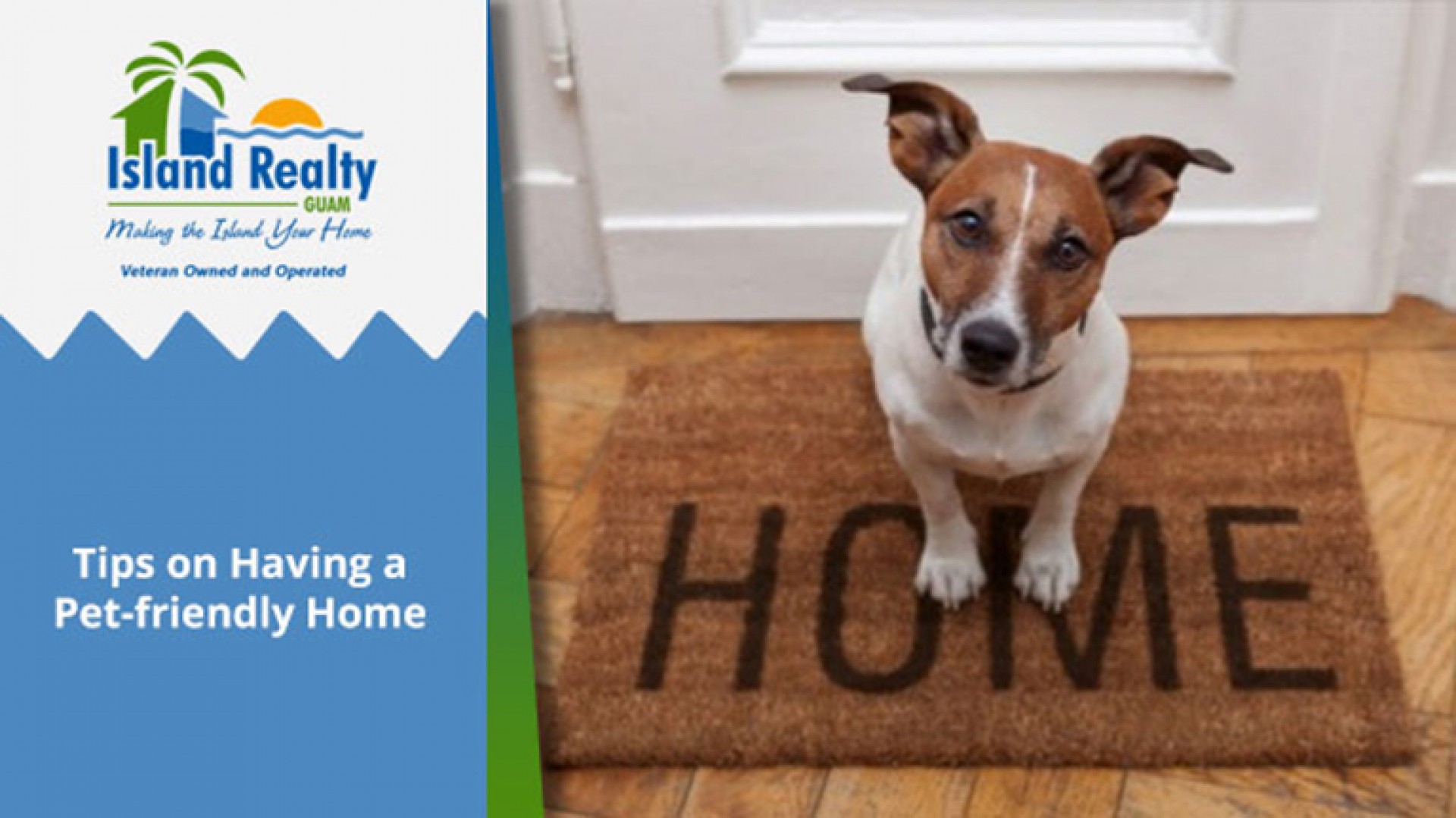 Tips on Having a Pet-friendly Home