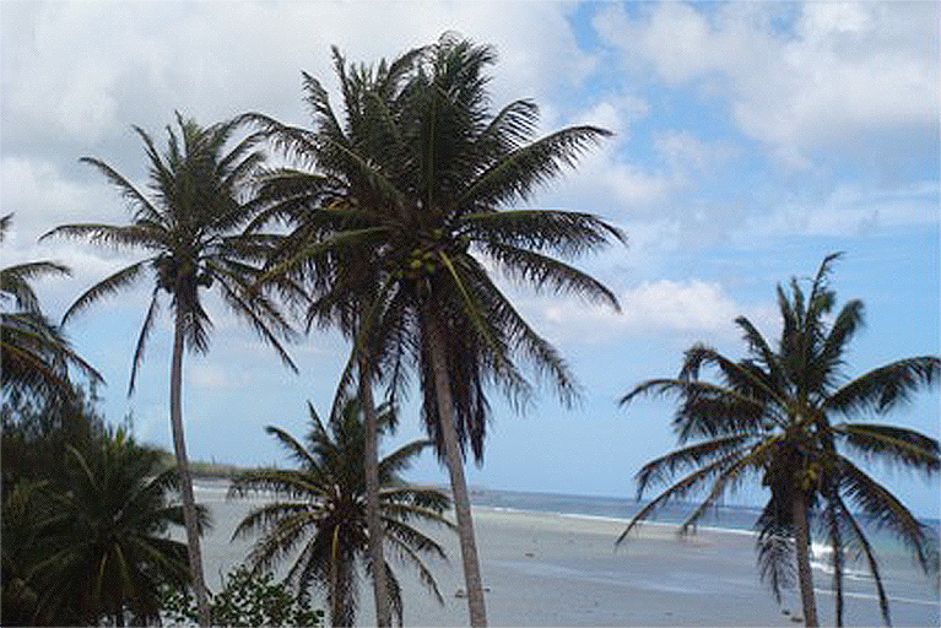 Guam Rental Properties